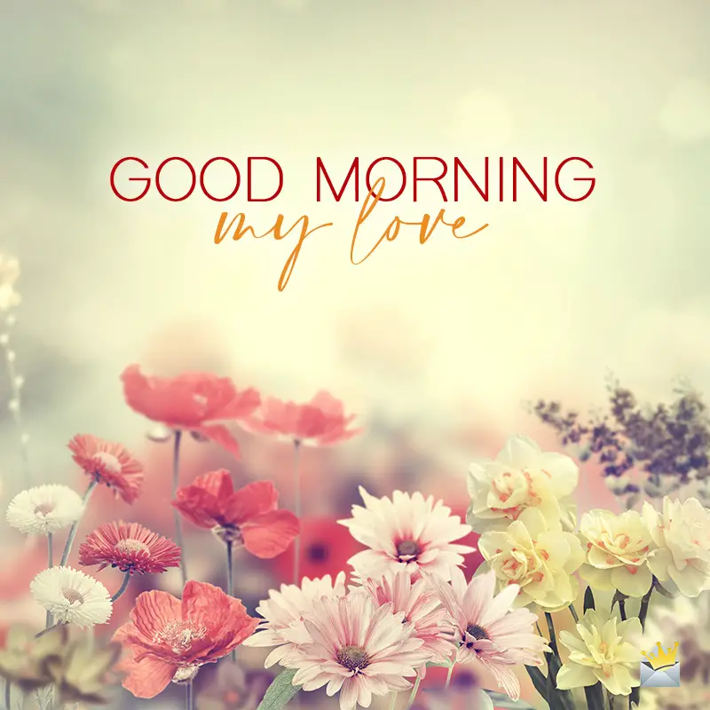 Good Morning Texts For Her | 30 Sweet & Inspirational SMS