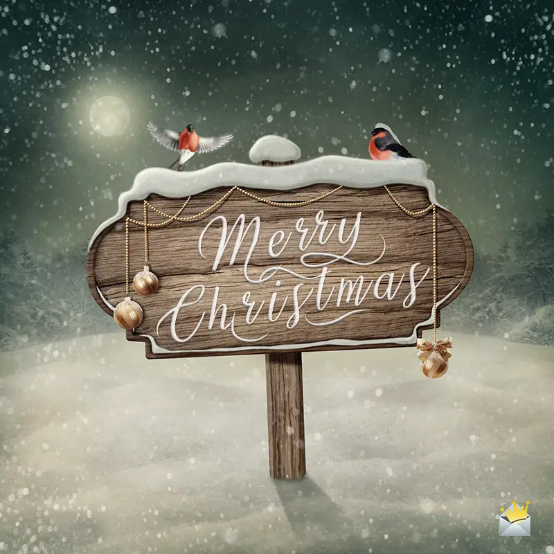150+ Merry Christmas Wishes | The Season To Be Jolly