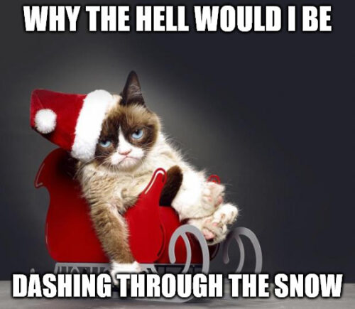 why the hell would I be dashing through the snow - Grumpy Christmas Cat Meme