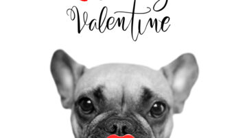 Funny Valentine's day quote on image with dog to send to your love or share on social media.