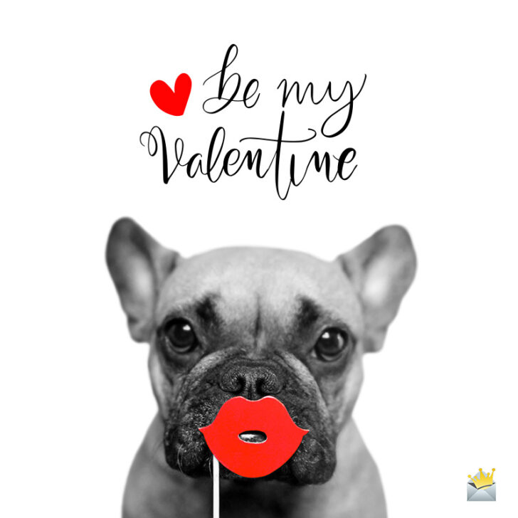 81 Funny Valentines Day Quotes Now That Cupid Shot At Me