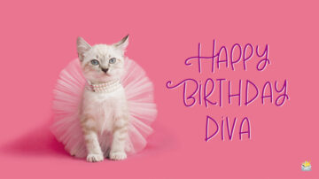 Birthday wishes for a diva.