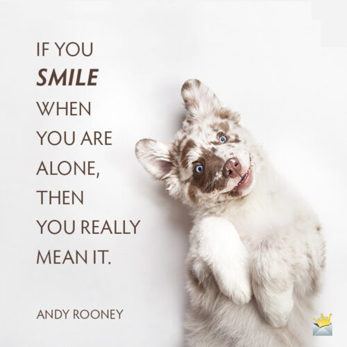 Smile quote on image with cute dog smiling.