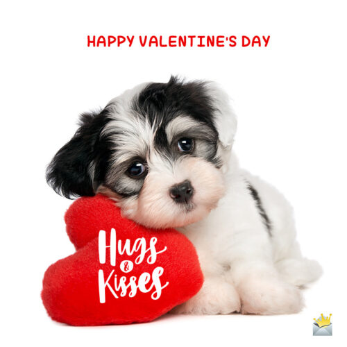 Cute Valentine's day image with puppy.