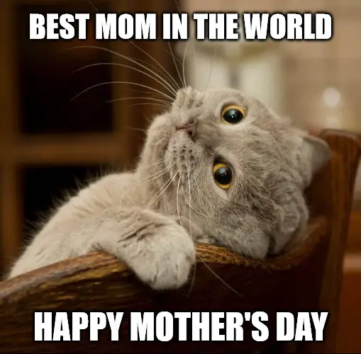 50 Happy Mother's Day Quotes and Messages