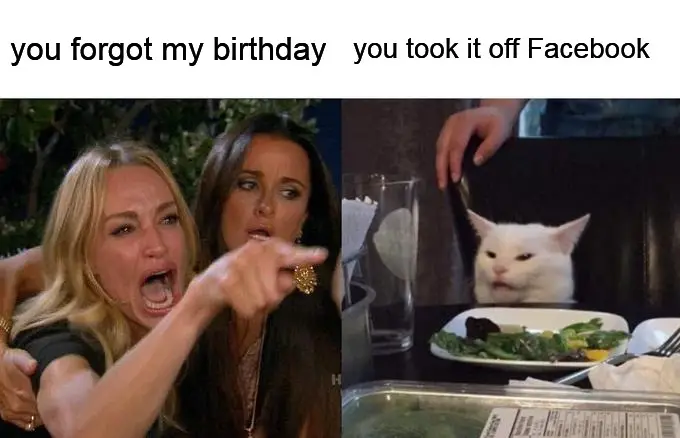 Oops cat Belated birthday meme.