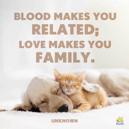 Cute short quote for blended family.