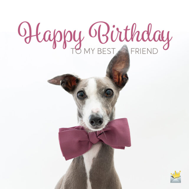 Happy Birthday Best Friend! 80 &ldquo;Friends For Life&rdquo; Wishes