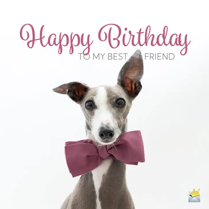 Happy Birthday, Best Friend! | 80 "Friends For Life" Wishes