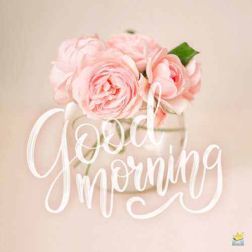 Good morning image with roses.