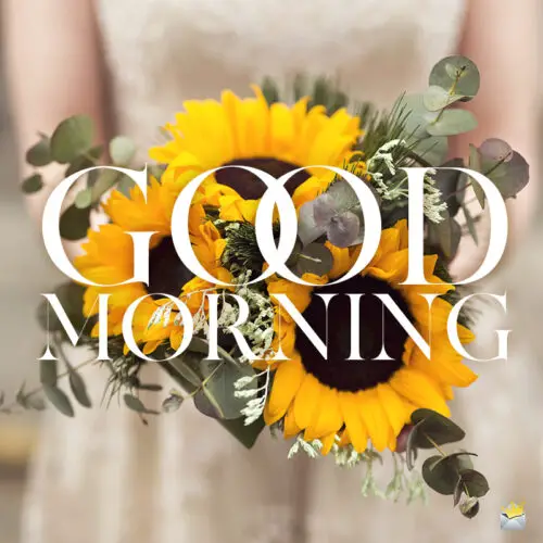 Good morning image with sunflowers.