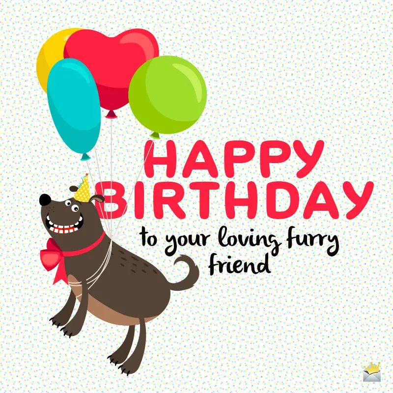 Happy Birthday to Woof | Birthday Wishes for Dogs