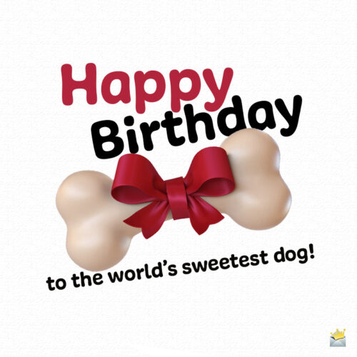 birthday wish for friend's dog.