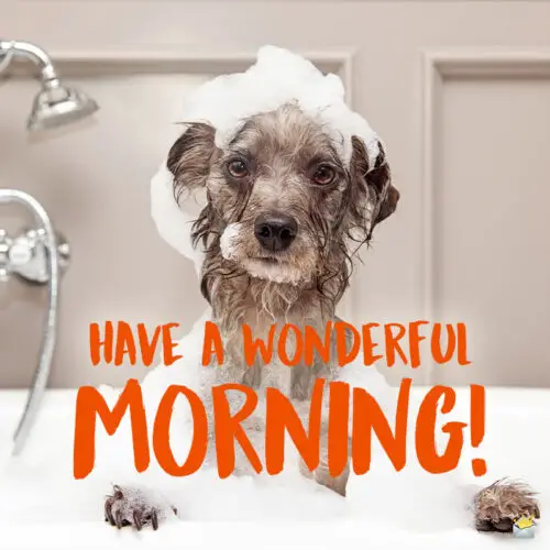 99 Funny Ways to Say Good Morning