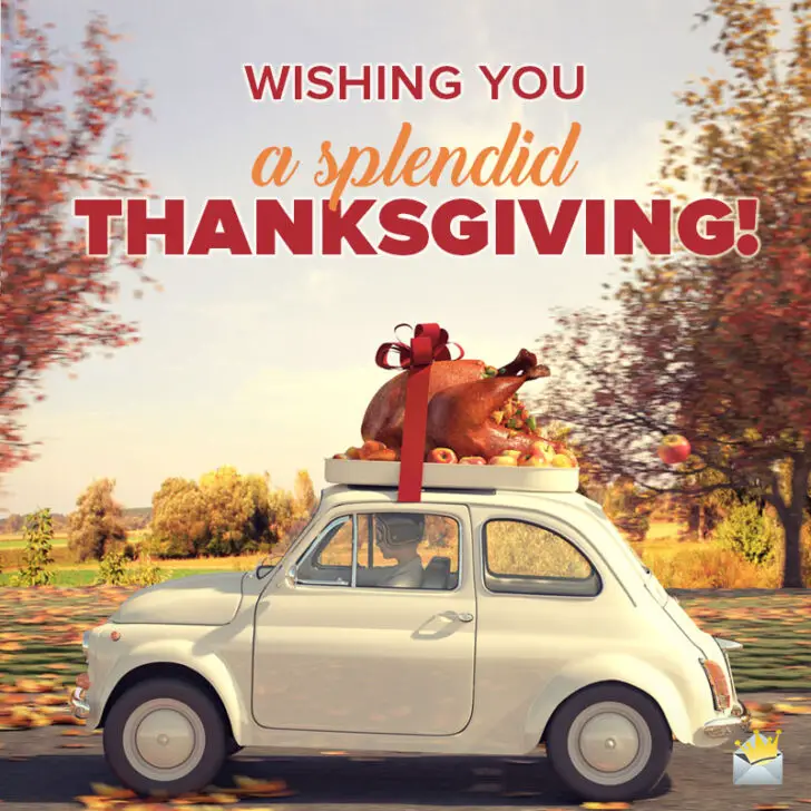 The Festive Day of Gratitude | Happy Thanksgiving