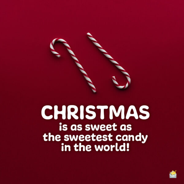 120 Best Christmas Captions for Holiday Instagram Pics