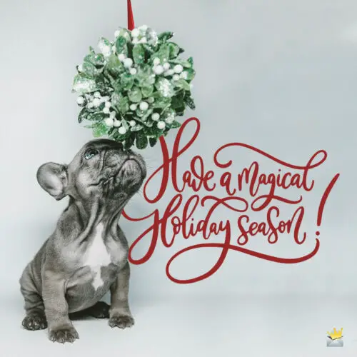 Christmas message on image with cute dog.