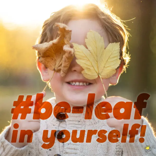 90+ Fall Captions for Instagram Autumn Leaves Are Brown