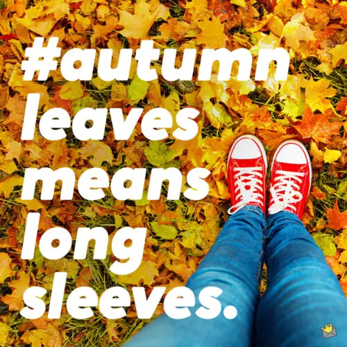 short instagram captions fall short instagram captions fall