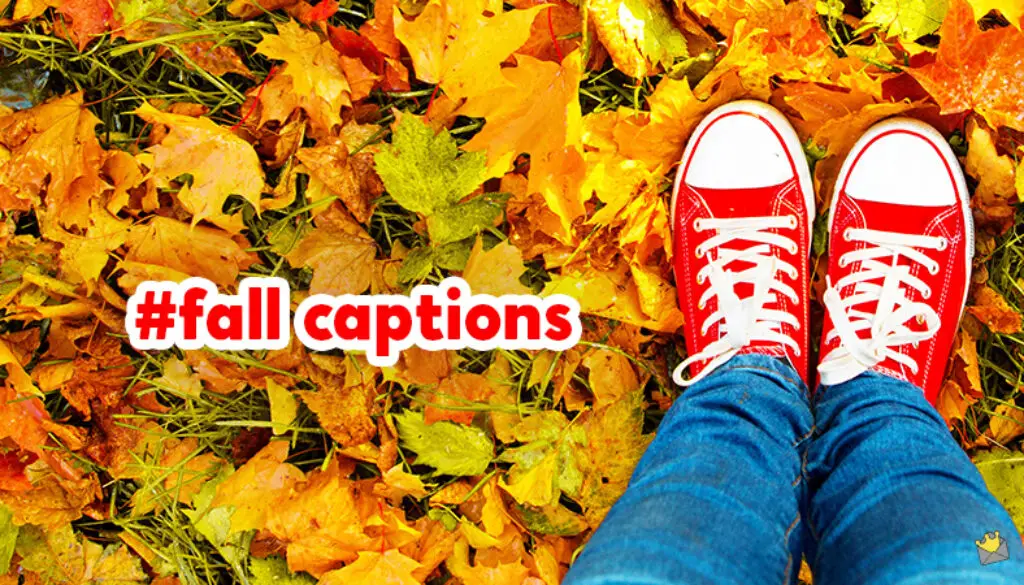 Fall captions.