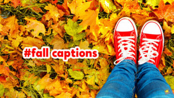 Fall captions.