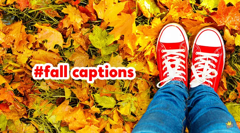 Fall captions.