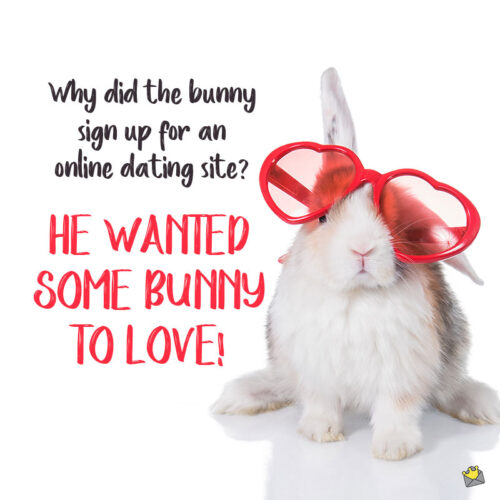 Funny bunny pun.