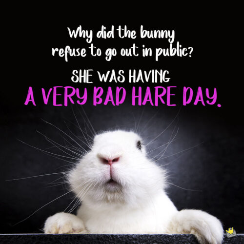 Funny bunny pun.