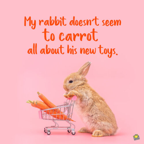 Funny bunny pun.