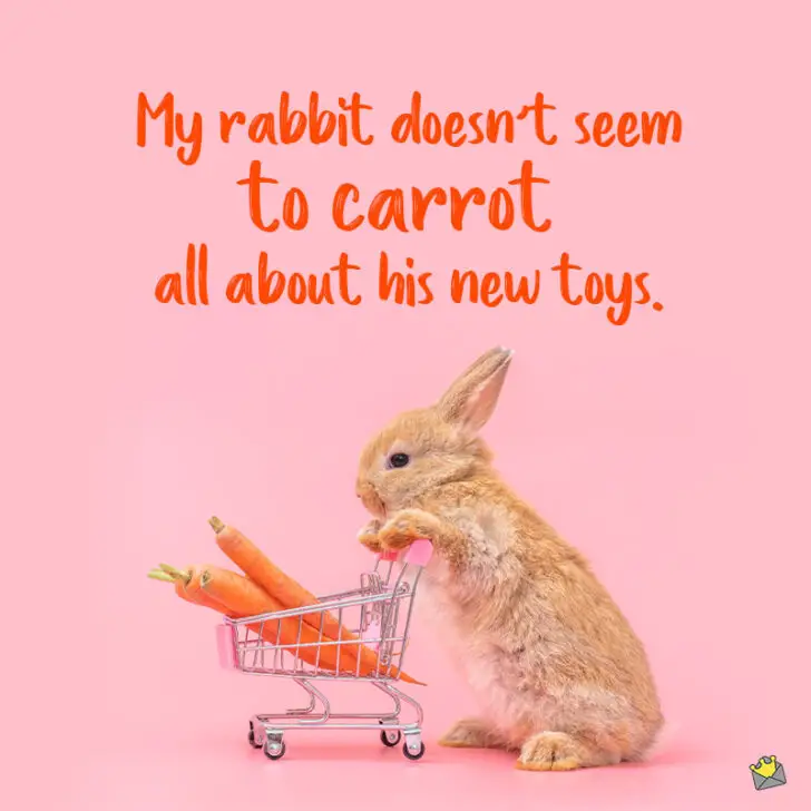 25+ Bunny Puns About Fluffy Happy Hoppers