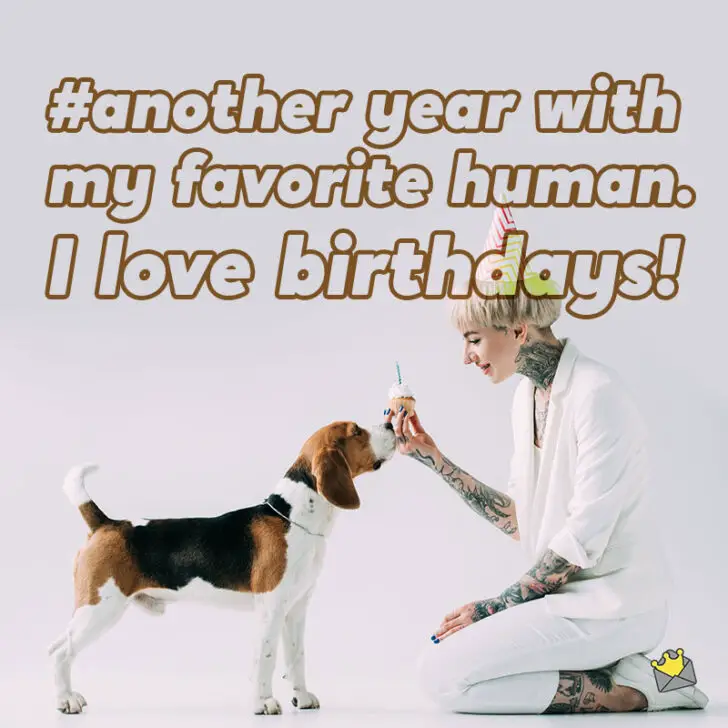 32 Instagram Photo Captions for Your Sweet Dog’s Birthday