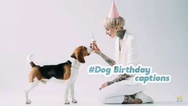 Dog Birthday Captions