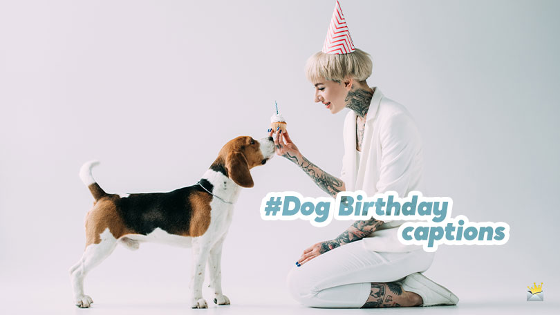 Dog Birthday Captions