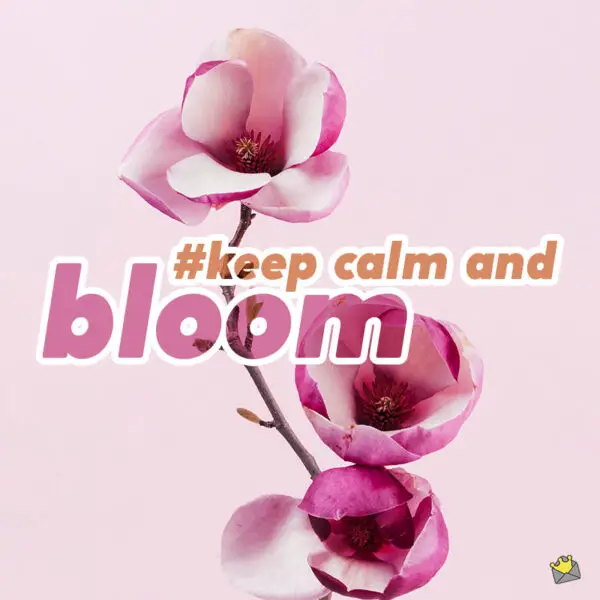 52 Flower Captions For Pics that Admire Their Beauty All in one Shyari