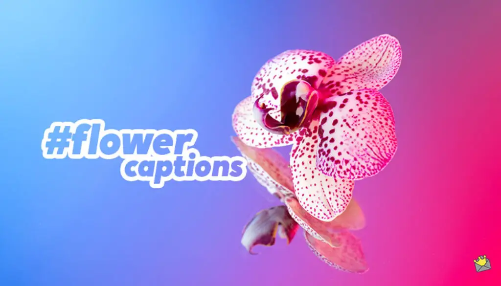 flower-captions-social