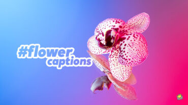 flower-captions-social